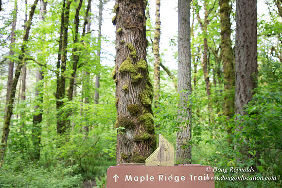 Tryon State Park