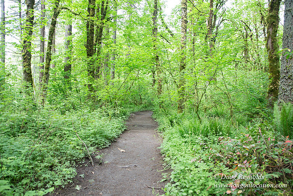 Tryon State Park
