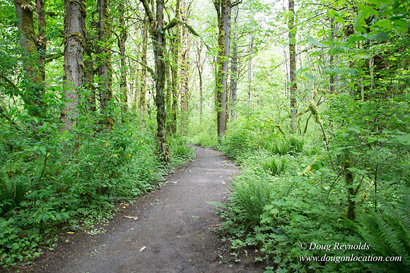 Tryon State Park