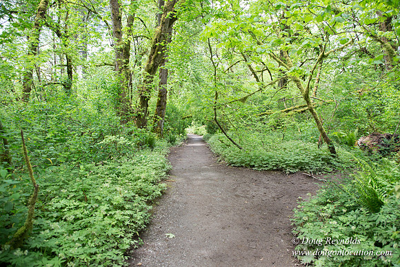 Tryon State Park