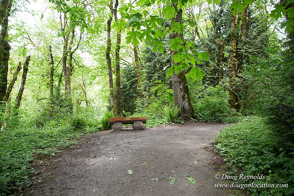 Tryon State Park