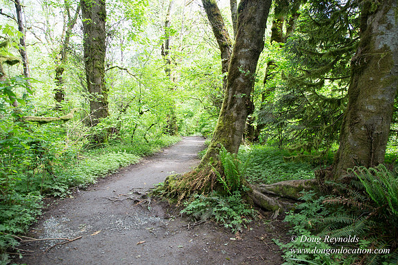 Tryon State Park
