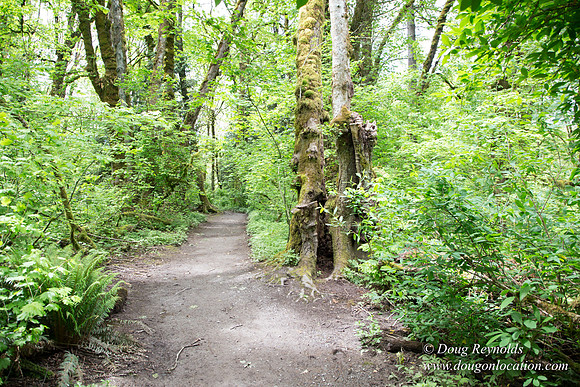 Tryon State Park