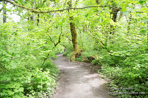 Tryon State Park