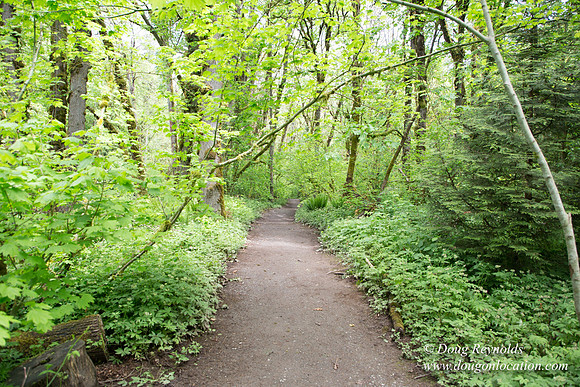 Tryon State Park