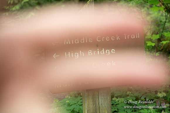 Tryon State Park
