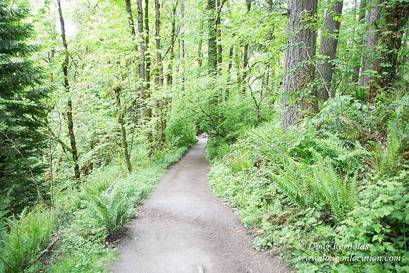 Tryon State Park