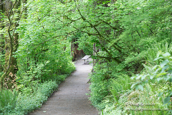 Tryon State Park
