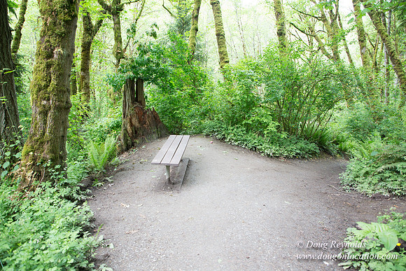Tryon State Park