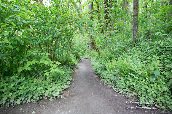 Tryon State Park