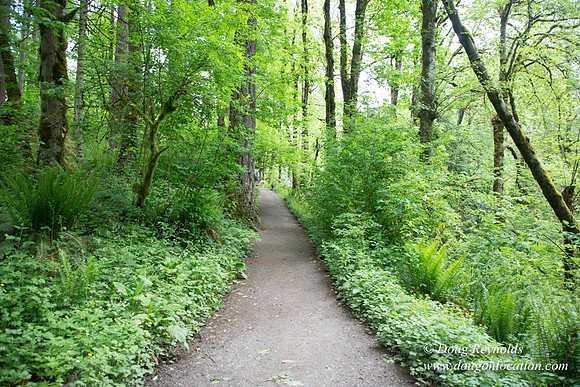 Tryon State Park