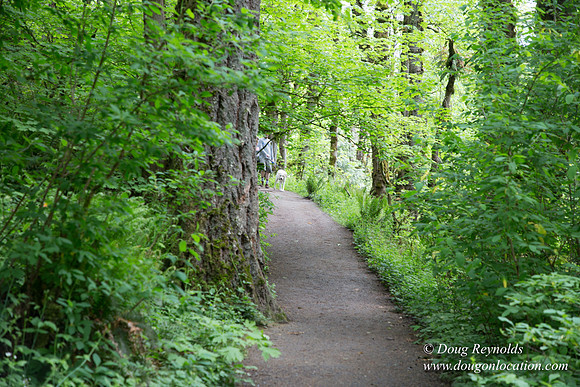 Tryon State Park