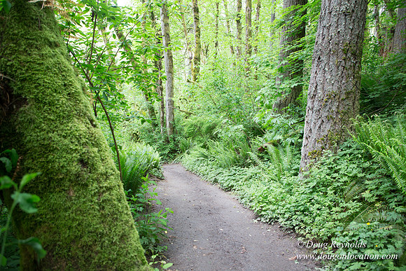 Tryon State Park