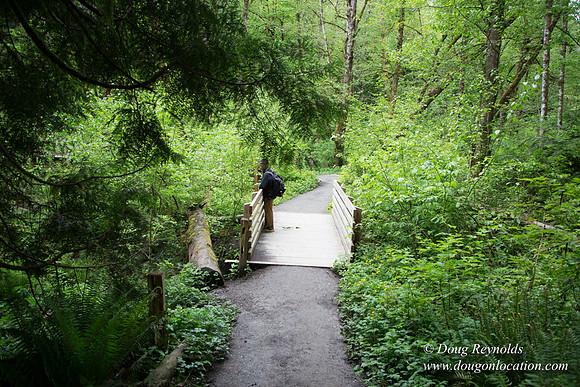 Tryon State Park