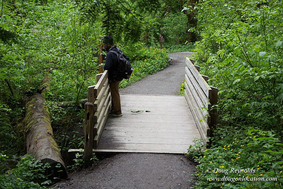 Tryon State Park