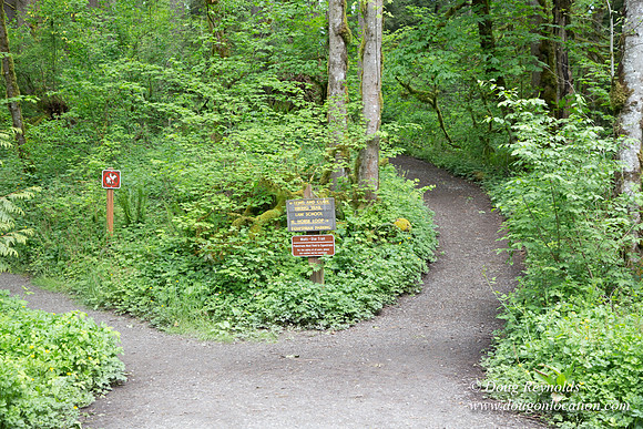 Tryon State Park