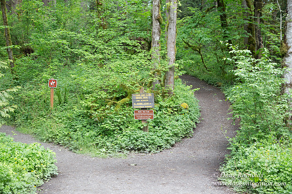 Tryon State Park
