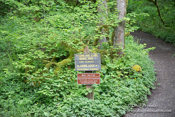 Tryon State Park