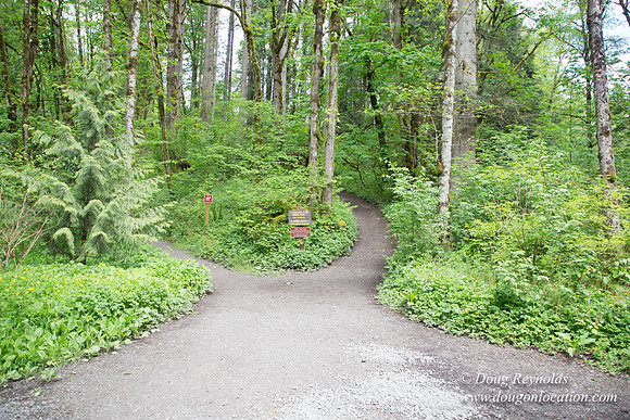Tryon State Park