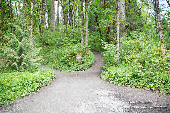 Tryon State Park