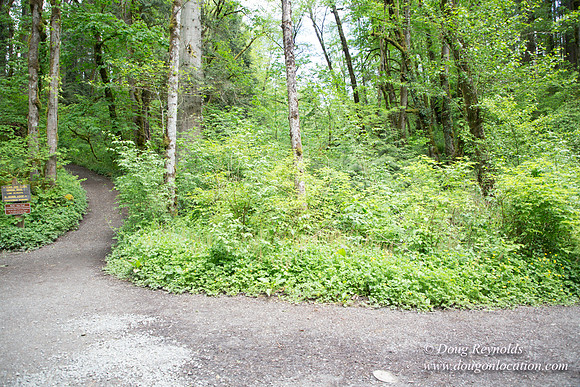 Tryon State Park