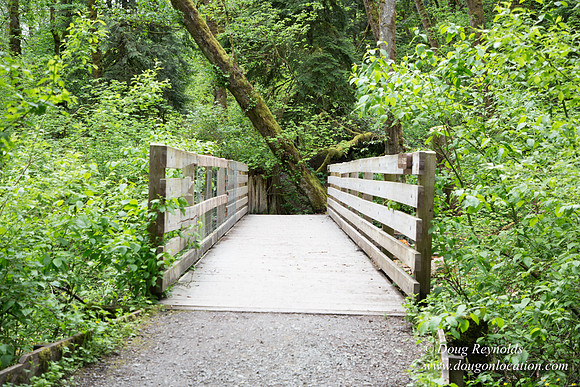 Tryon State Park