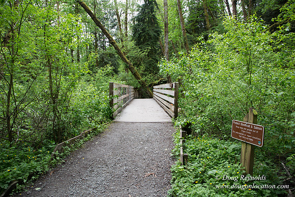 Tryon State Park
