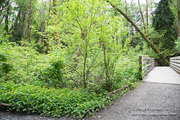 Tryon State Park