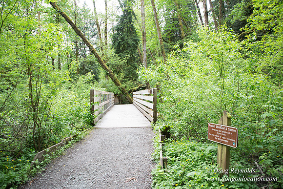 Tryon State Park