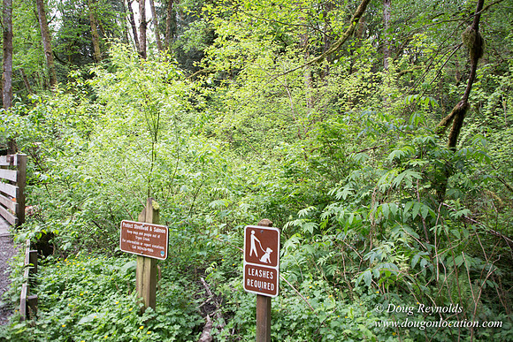 Tryon State Park