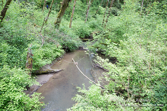 Tryon State Park