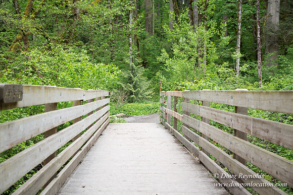 Tryon State Park