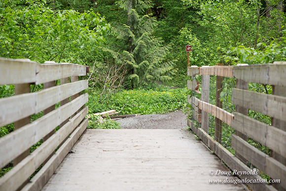 Tryon State Park