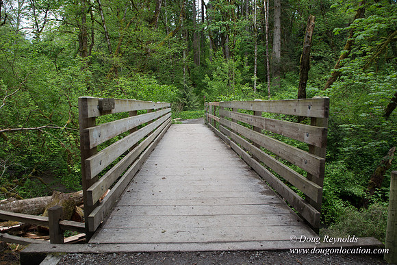 Tryon State Park