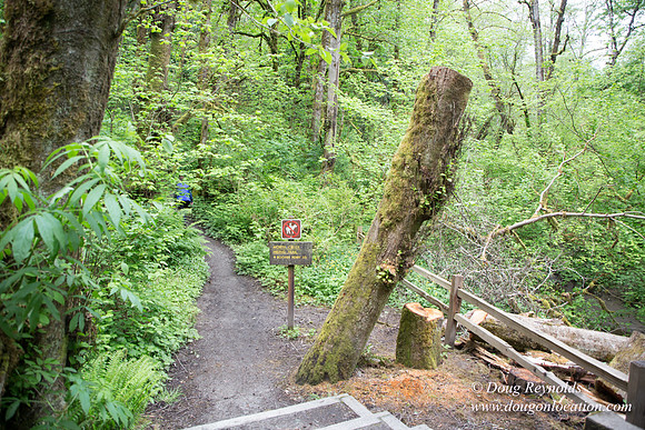 Tryon State Park