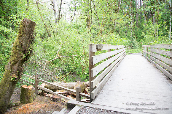 Tryon State Park