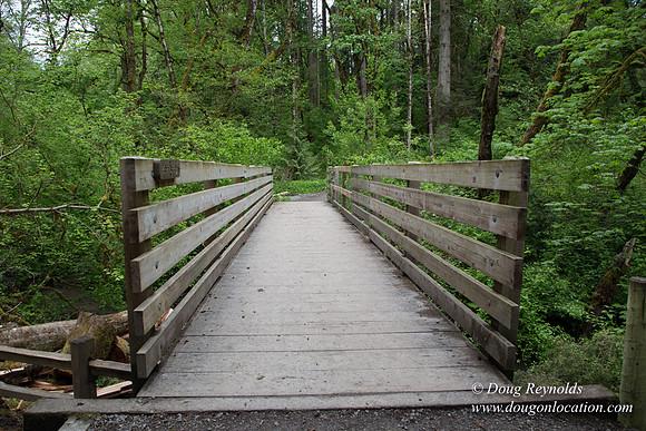 Tryon State Park