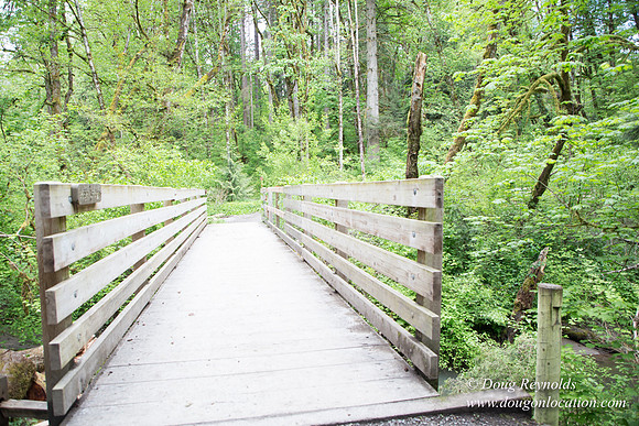 Tryon State Park