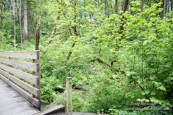Tryon State Park