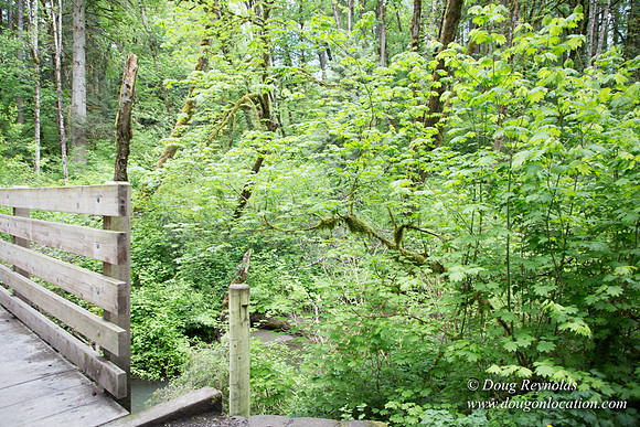 Tryon State Park