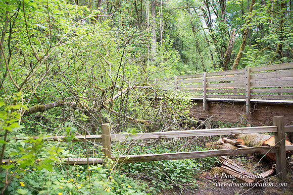 Tryon State Park