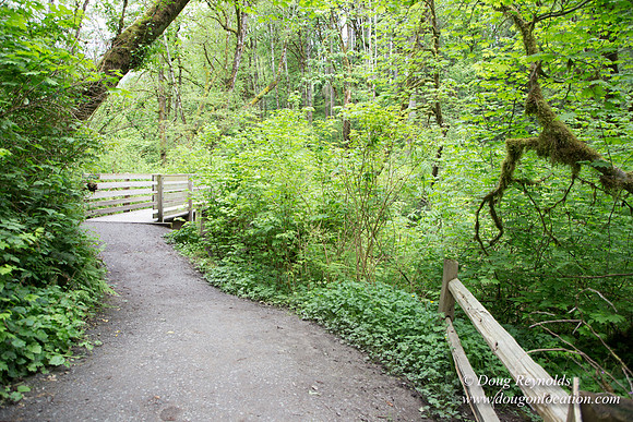 Tryon State Park