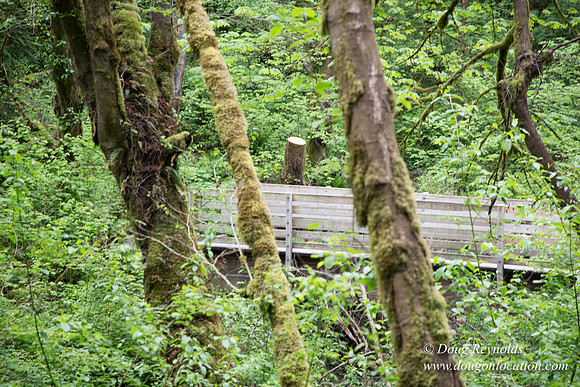 Tryon State Park