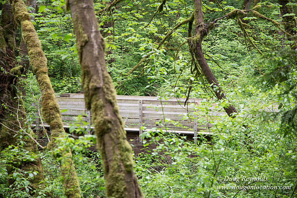 Tryon State Park