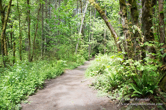 Tryon State Park