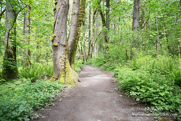 Tryon State Park