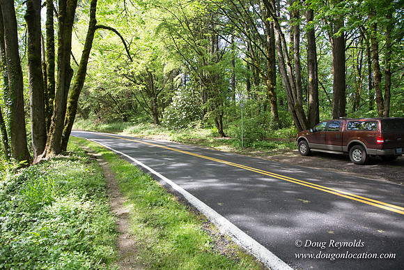Wild Wood Trail Parking