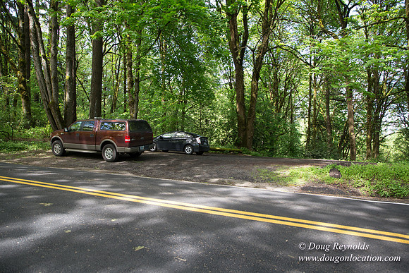 Wild Wood Trail Parking