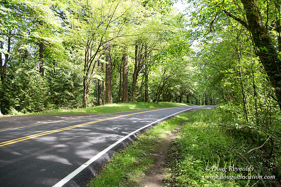 Wild Wood Trail Parking