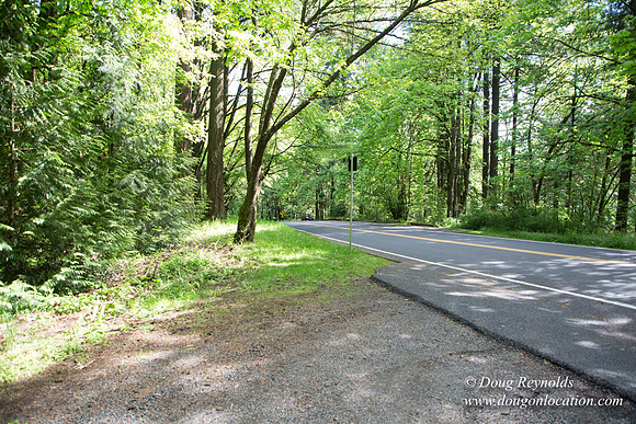 Wild Wood Trail Parking